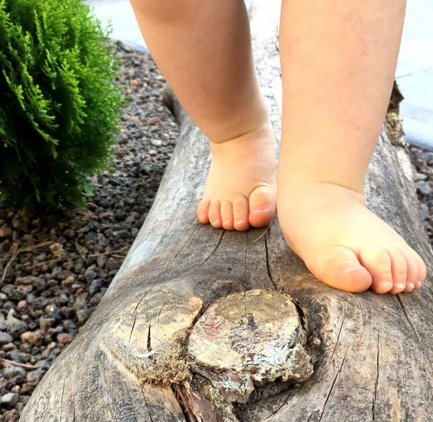 MARCAS Bodegón - MARCAS