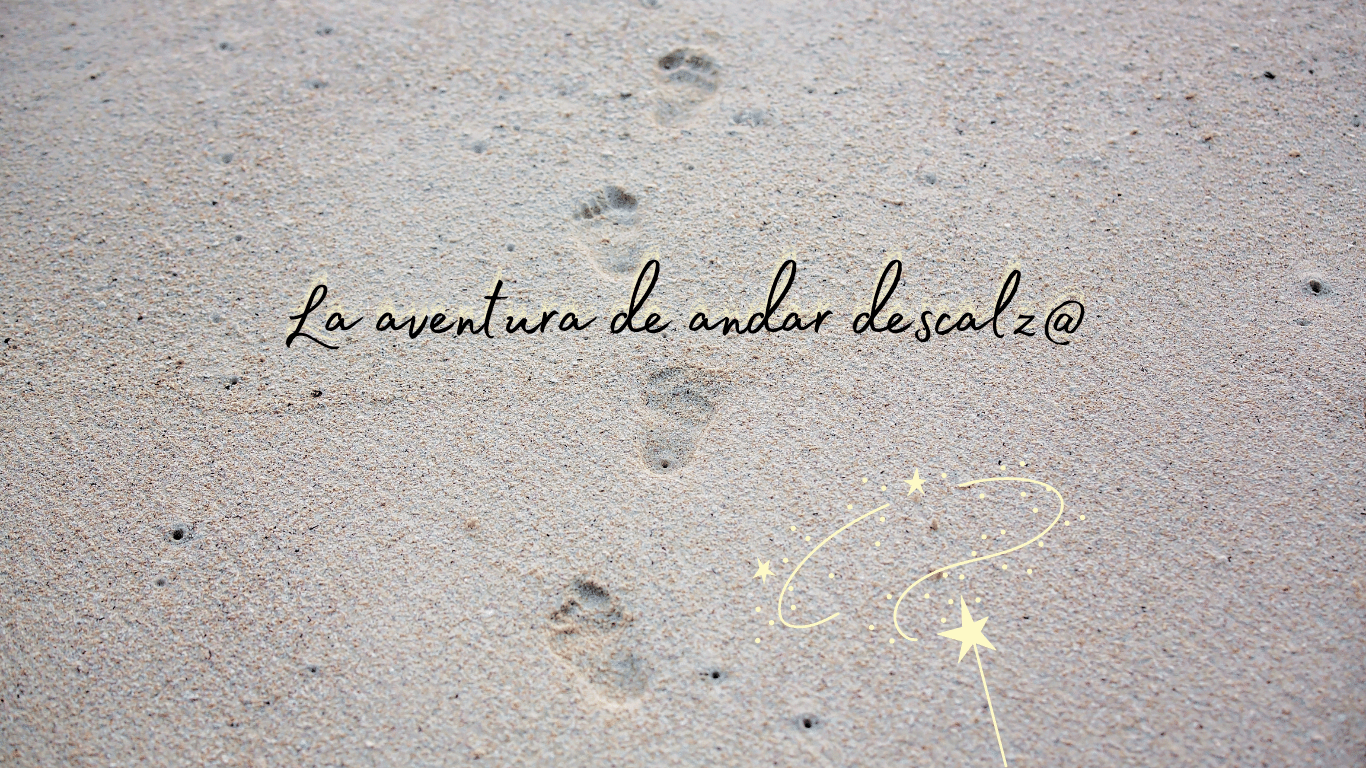 Diseño slider web Pisada de Lujo atemporal